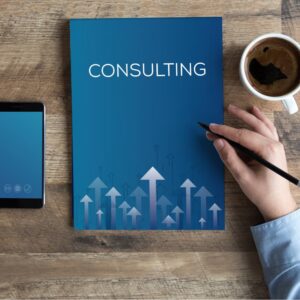 IT Strategy Consultation (1 Hour)
